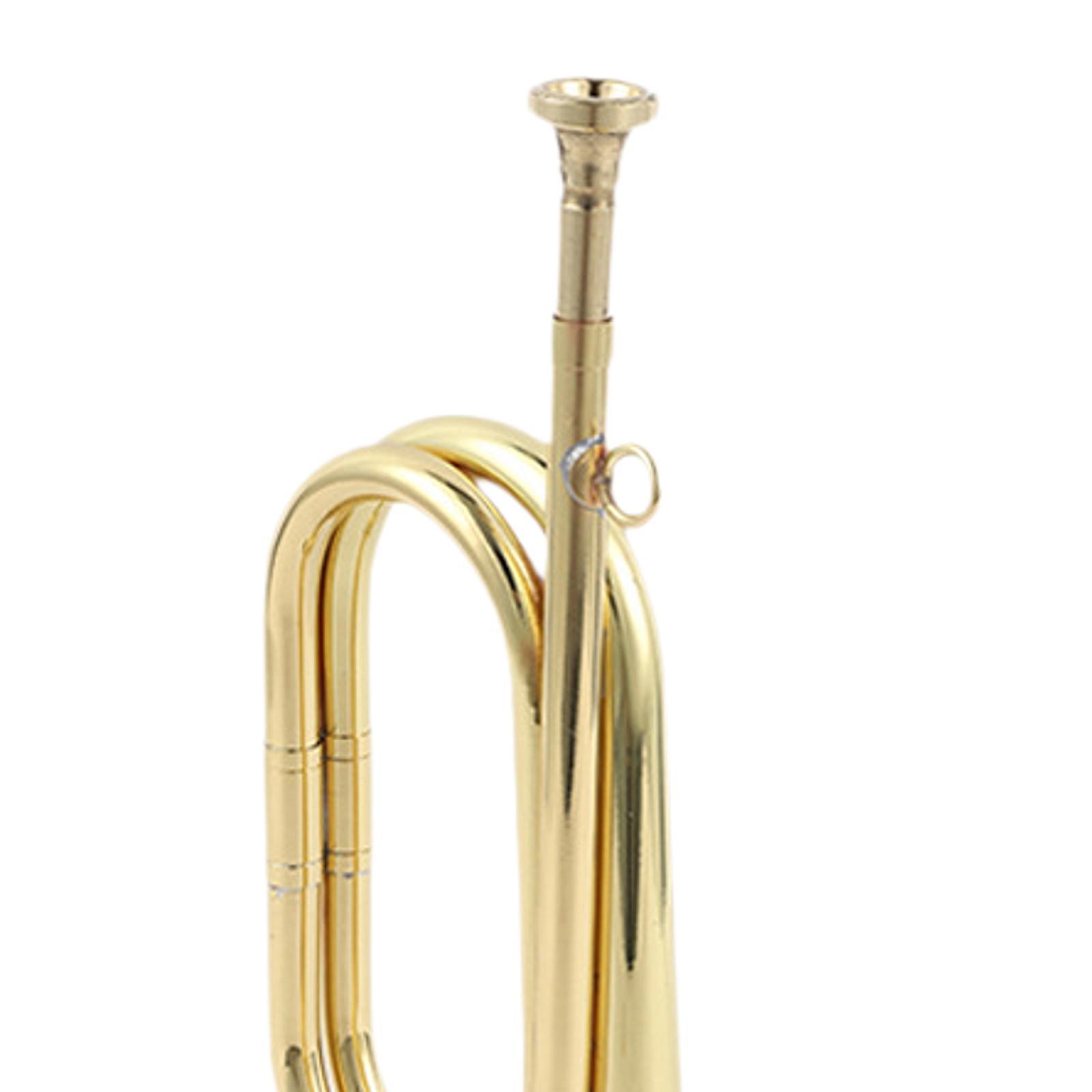 Trumpet Scouting Trumpet Bugle - Musical Instrument Bugle review and price