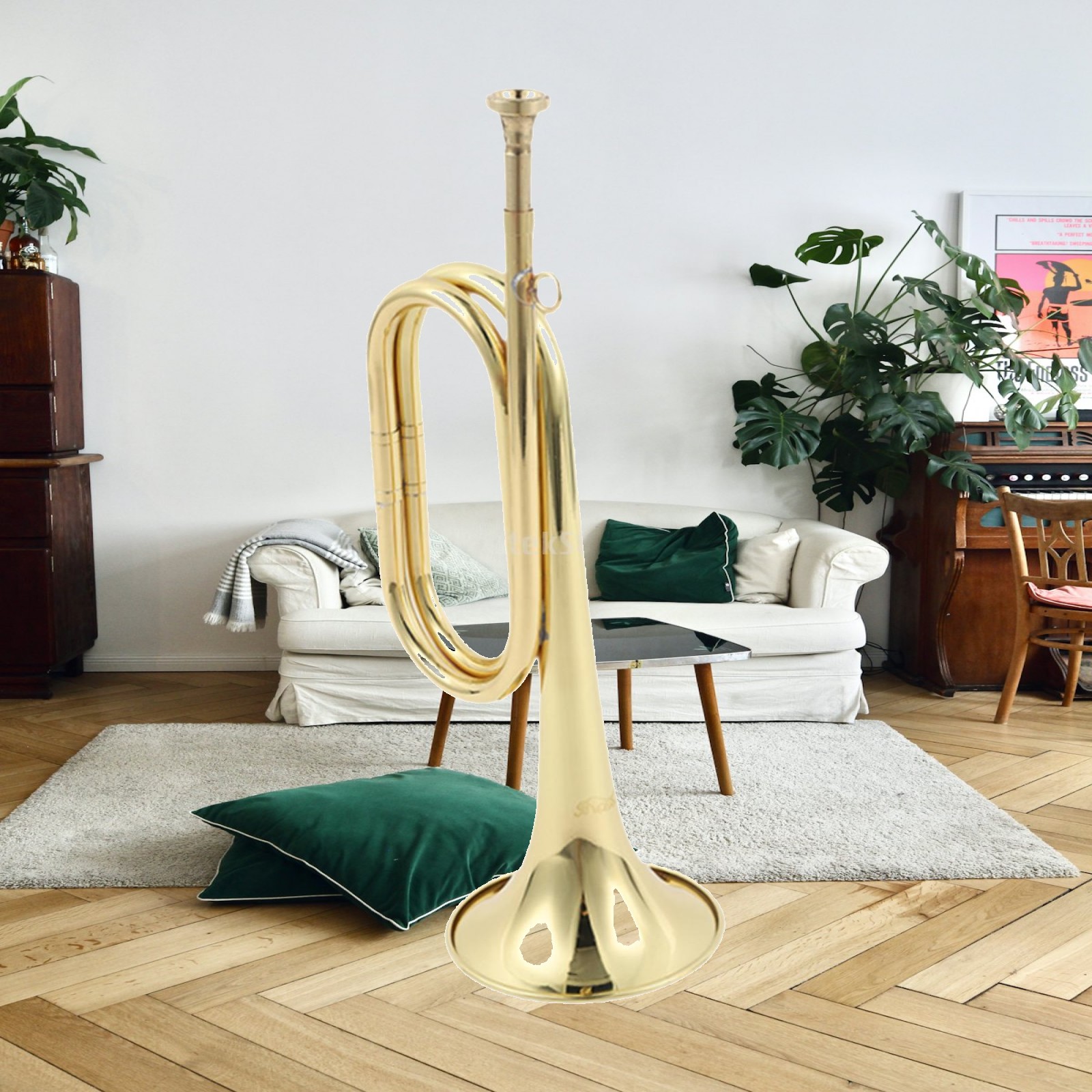Trumpet Scout Bugle Music Inst - Musical Instrument Bugle review and price